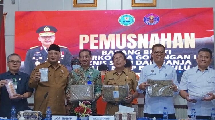 BNNP Bengkulu Musnahkan 5,3 Kg Ganja dan 37,66 Gram Sabu, Jaringan Lintas Provinsi Terbongkar