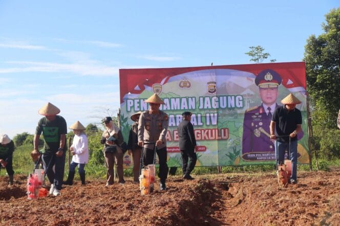
Polda Bengkulu Geber Program Ketahanan Pangan, Tanam Jagung di Penghujung Tahun