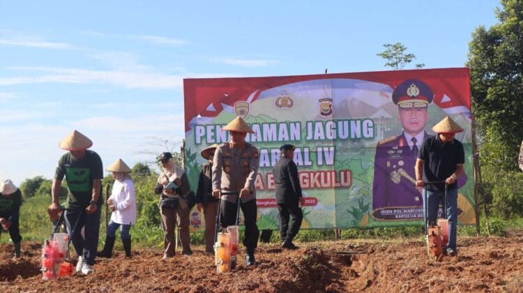Polda Bengkulu Geber Program Ketahanan Pangan, Tanam Jagung di Penghujung Tahun