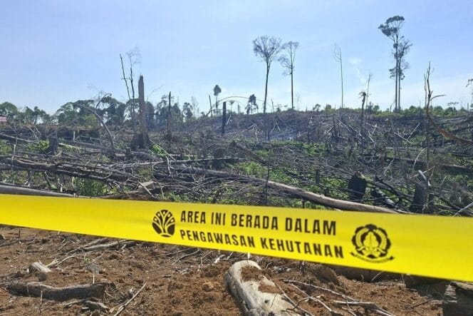 
Pembekuan Izin Dua Perusahaan Hutan di Bengkulu, Kemenhut Ambil Tindakan Tegas