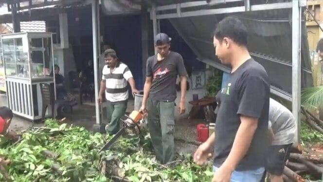 
Cuaca Ekstrem di Bengkulu: Pohon Mahoni Tumbang Timpa Usaha Warga di Jalan Seruni