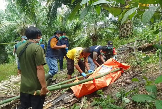 
					Geger! Aroma Menyengat di Kebun Sawit Talang Marap Kaur Ternyata Jasad Pria Membusuk, Ini Identitasnya
