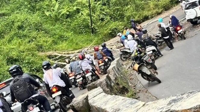 
Pohon Tumbang di Talang Ulu Lebong Timpa ASN, Korban Dilarikan ke Rumah Sakit