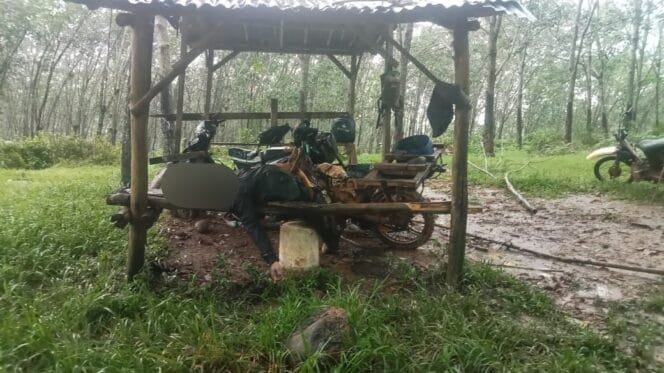 
Petir Menyambar, Nyawa Melayang! Kelalaian PTPN atau Alam Jadi Kambing Hitam ?