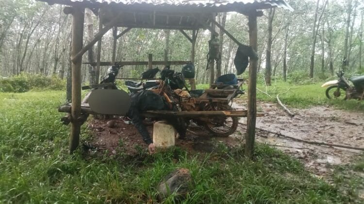 Petir Menyambar, Nyawa Melayang! Kelalaian PTPN atau Alam Jadi Kambing Hitam ?