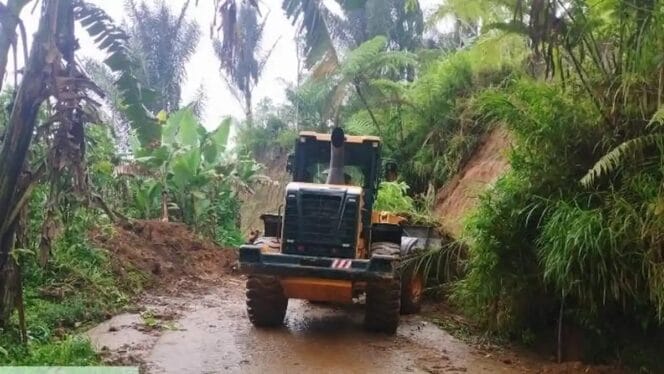 
Rejang Lebong Dikepung Banjir dan Longsor, Jembatan Desa Kayumanis Putus Total!
