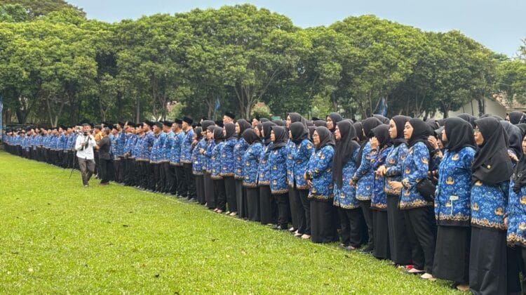Administrasi Bermasalah, Kelulusan 50 Peserta PPPK di Rejang Lebong Resmi Dibatalkan!