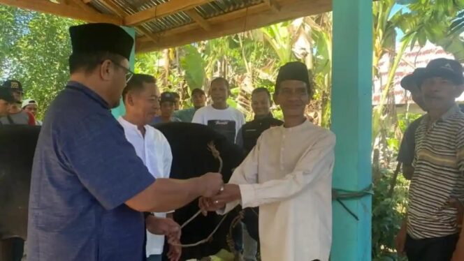 
Idul Adha 2026: Sapi Kurban 1 Ton dari Presiden Prabowo Siap Didistribusikan ke 30 Desa di Kedurang