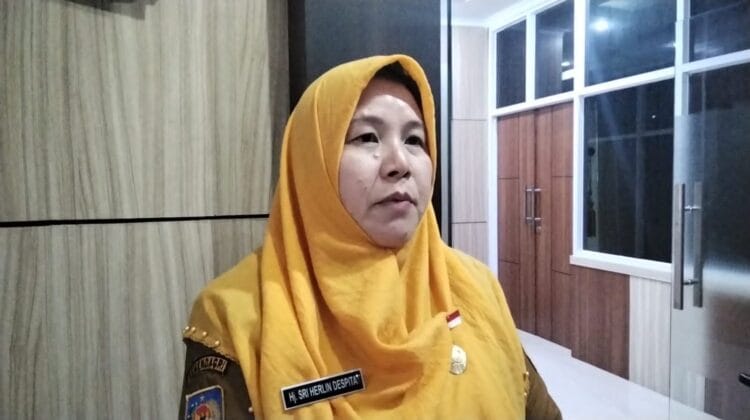 Kabar Gembira untuk Petani! Pemprov Bengkulu Siapkan Bantuan Ribuan Bibit Gratis, Mulai Sawit hingga Kopi
