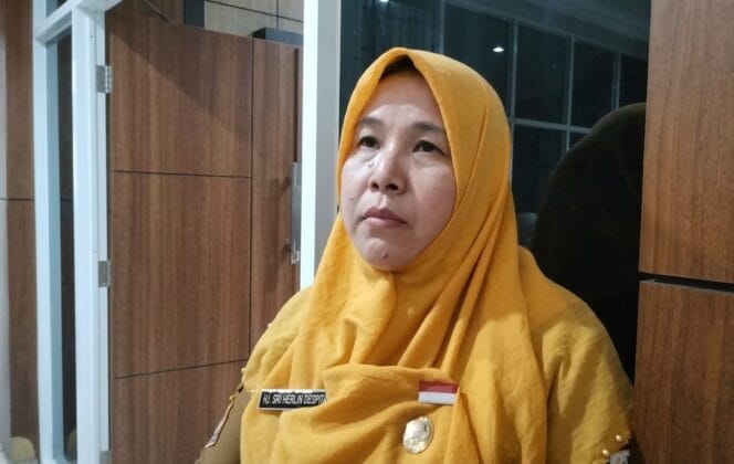 
Kabar Baik! Harga Sawit Bengkulu Tembus Rp3.321 per Kg, Pemprov Ancam Sanksi PKS Membandel